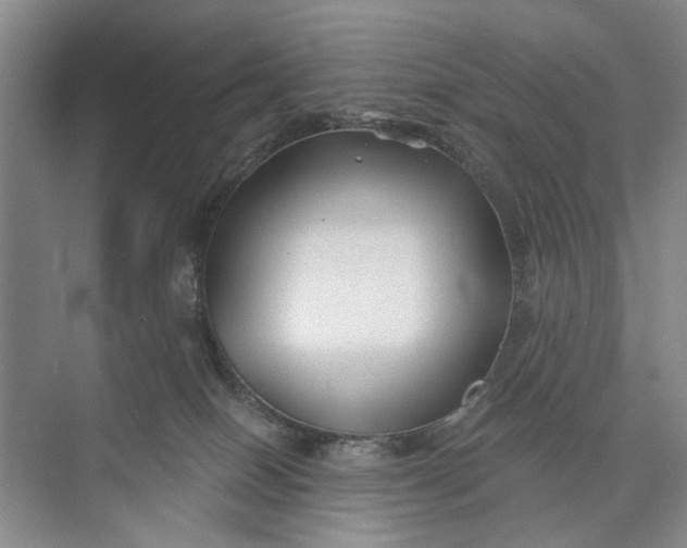 X0000072920086200608041201