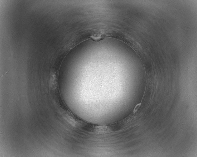 X0000072920087200608041201