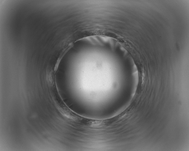 X0000072920088200608041201