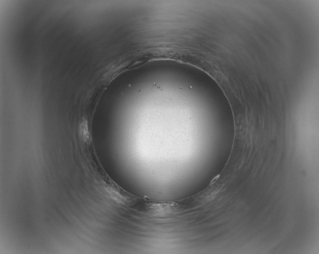 X0000072920089200608041201