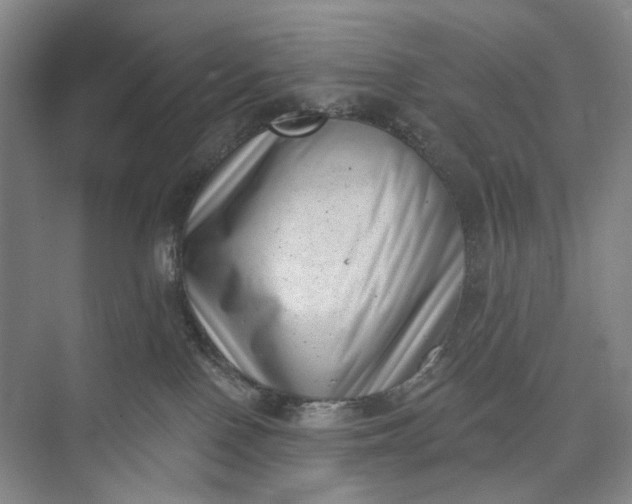 X0000072920090200608041201