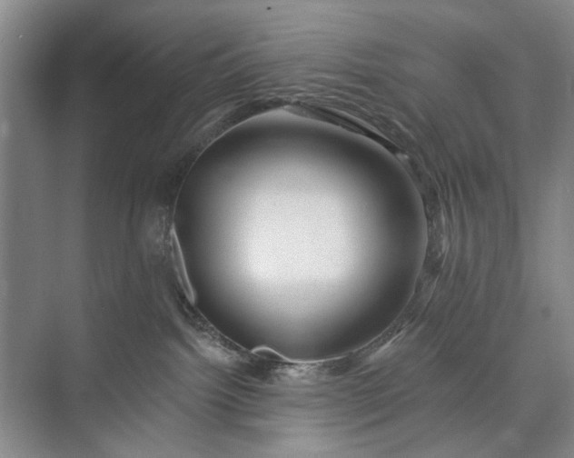 X0000072920092200608041201