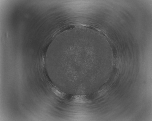 X0000072920093200608041201