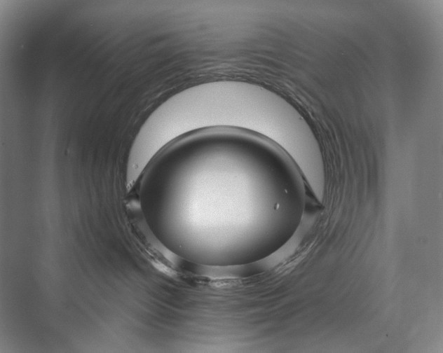 X0000072920096200608041201