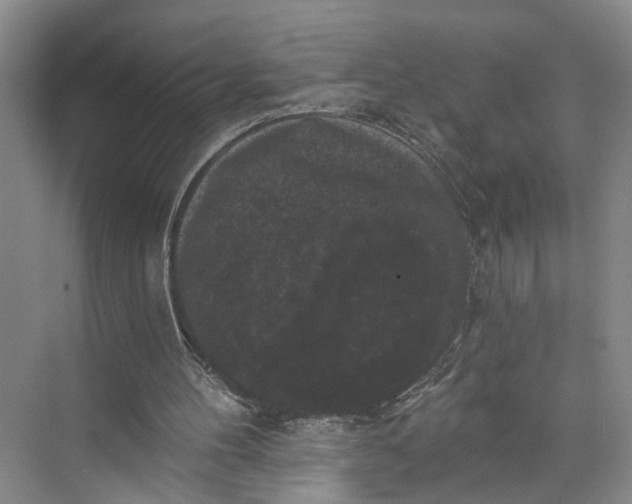 X0000072920100200608041200