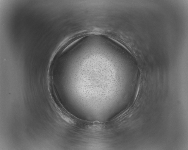 X0000072920102200608041200