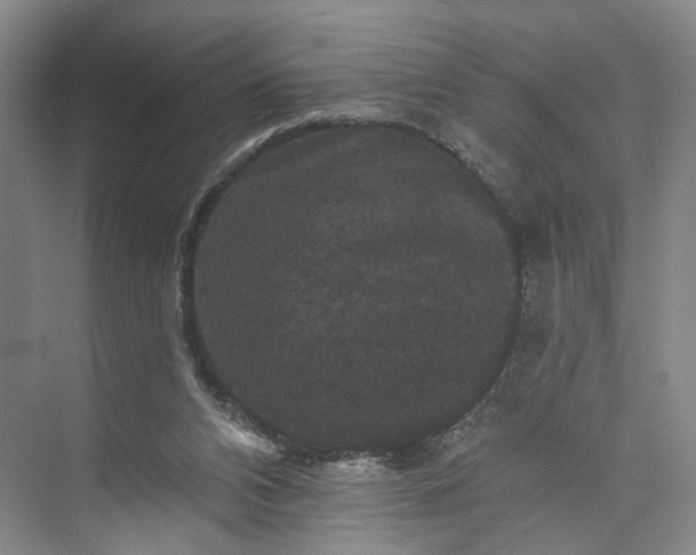 X0000072920112200608041200