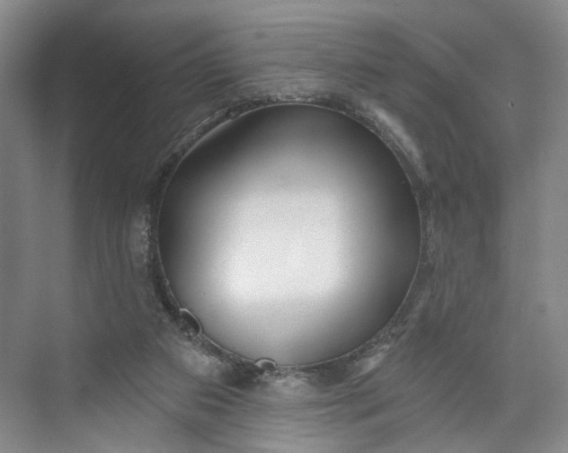 X0000072920113200608041200