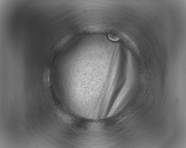 X0000072920115200608041200