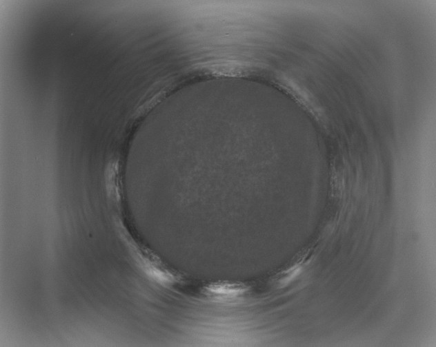 X0000072920117200608041200