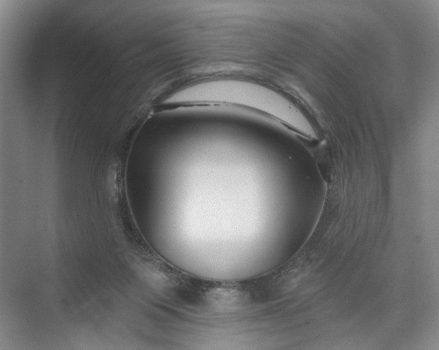 X0000072920119200608041200
