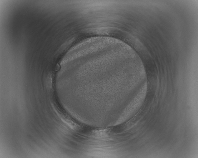 X0000072920120200608041200