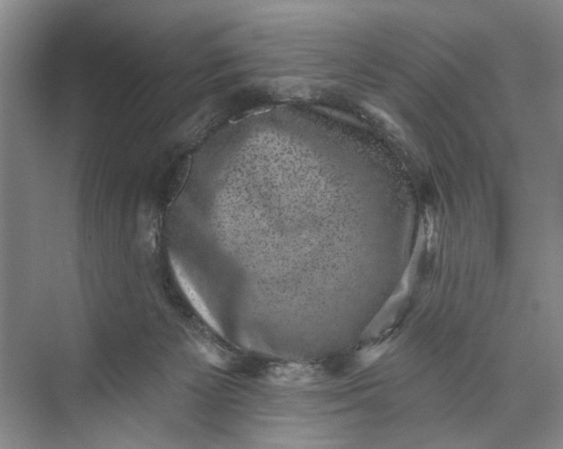 X0000072920125200608041200