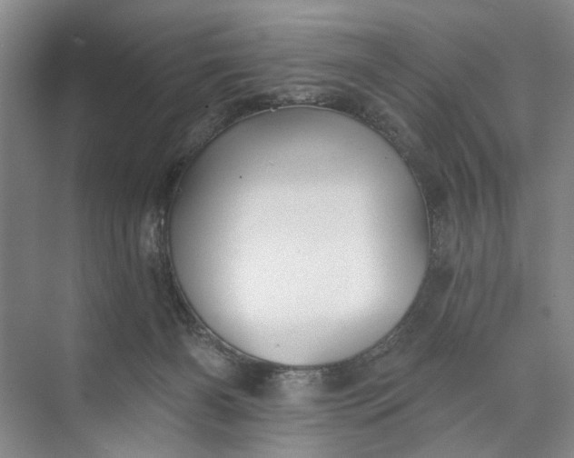 X0000072920126200608041200