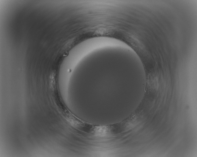 X0000072920127200608041200