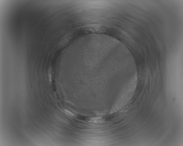 X0000072920132200608041200