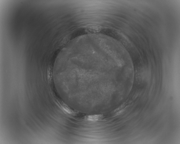 X0000072920134200608041200