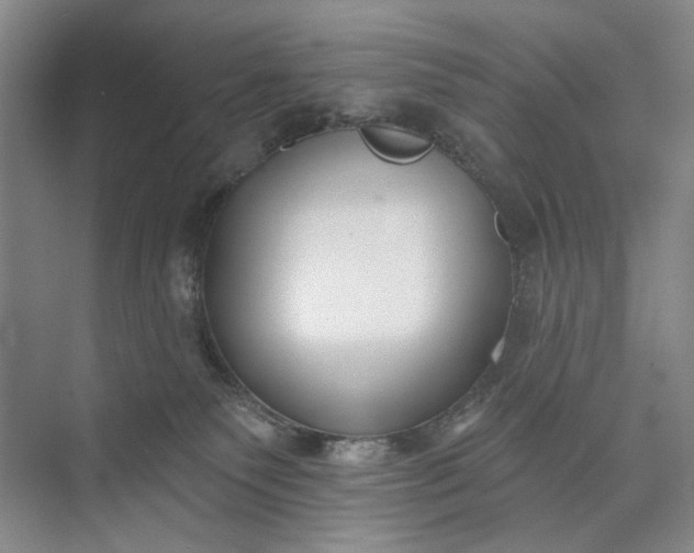 X0000072920135200608041200