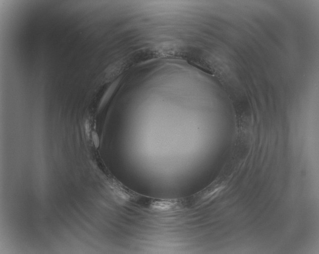 X0000072920139200608041200