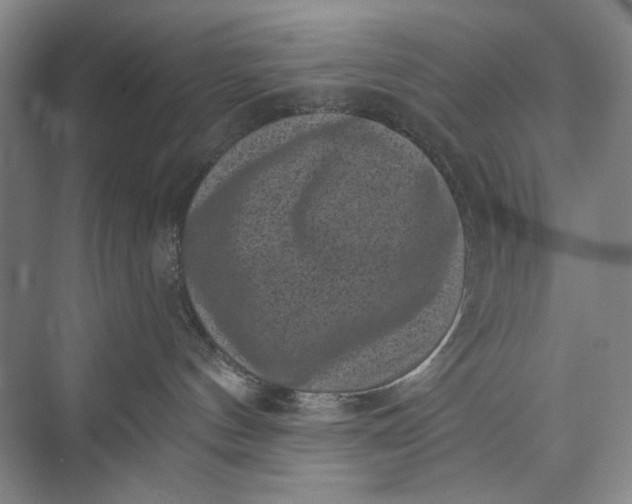 X0000072920144200608041200