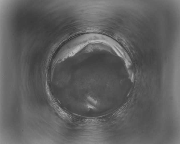 X0000072920145200608041159