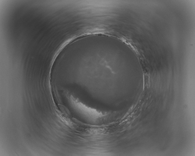 X0000072920147200608041159