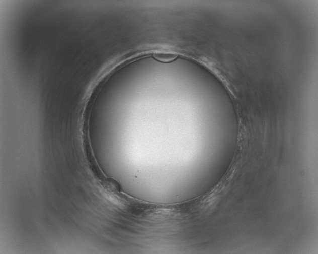 X0000072920151200608041159