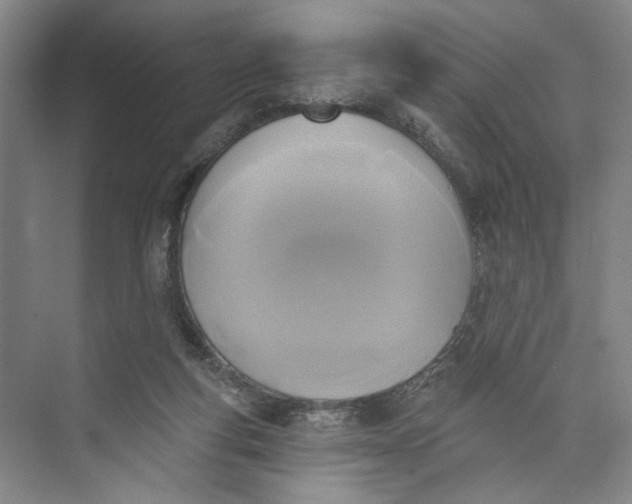 X0000072920163200608041159