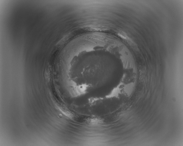 X0000072920165200608041159