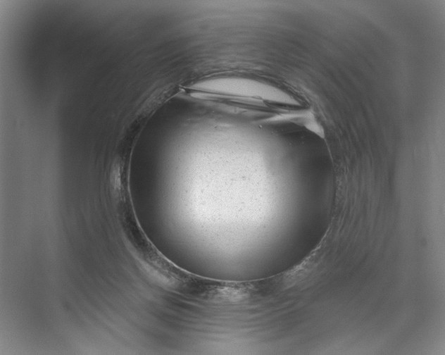 X0000072920166200608041159