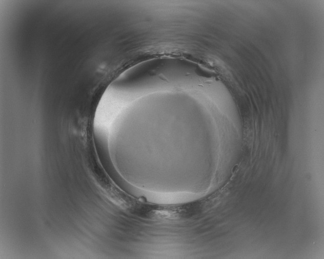 X0000072920167200608041159