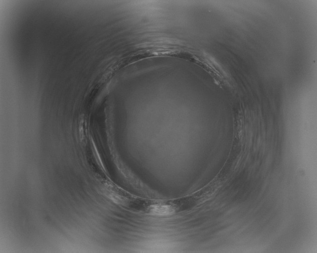 X0000072920169200608041159