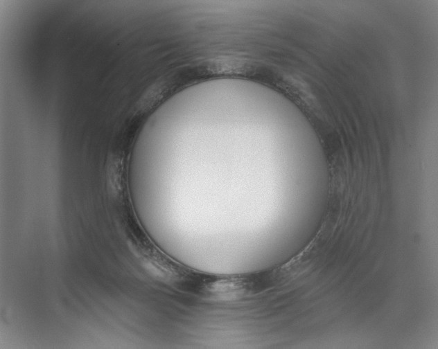 X0000072920171200608041159