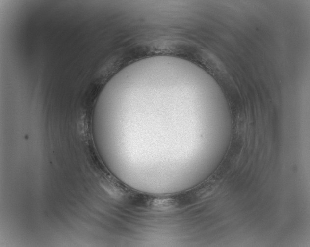 X0000072920173200608041159