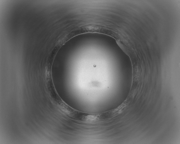 X0000072920176200608041159
