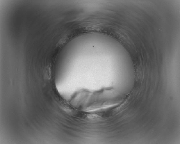 X0000072920183200608041159