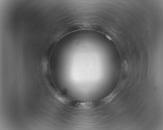 X0000072920188200608041159