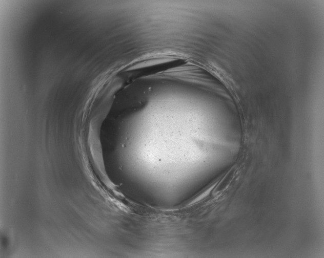 X0000072920193200608041159