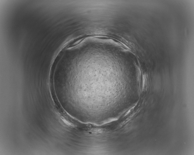 X0000072920195200608041159