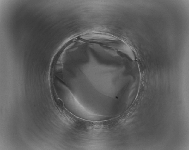 X0000072920196200608041159