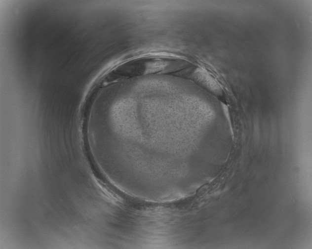 X0000072920197200608041159