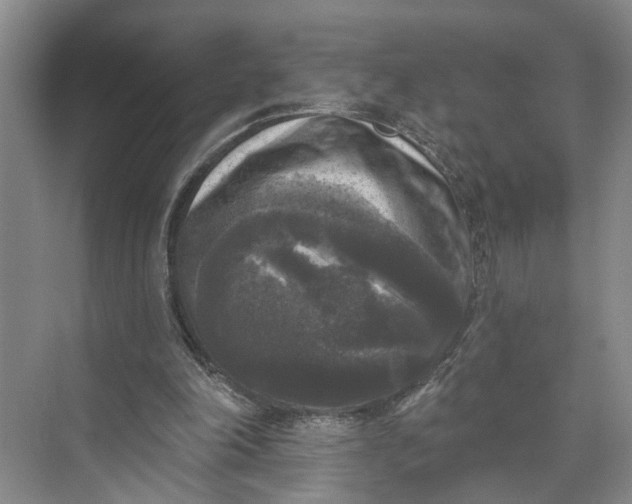 X0000072920198200608041159