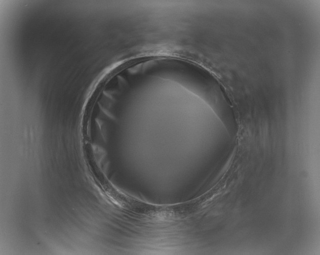 X0000072920200200608041159