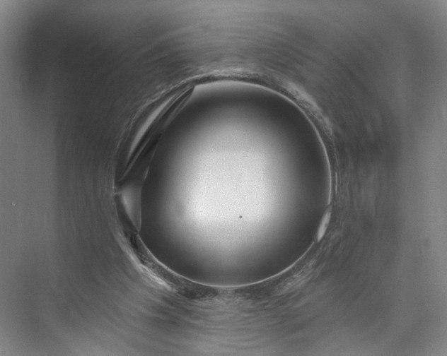 X0000072920201200608041159