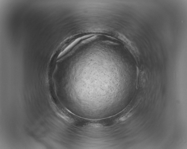 X0000072920203200608041159