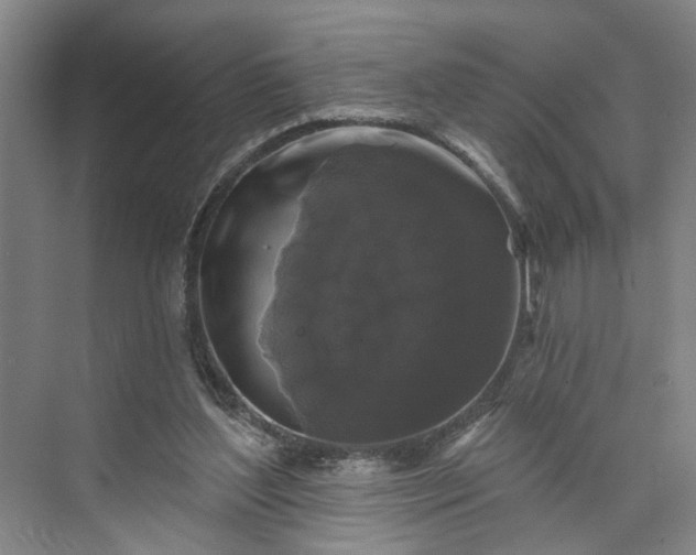 X0000072920204200608041159