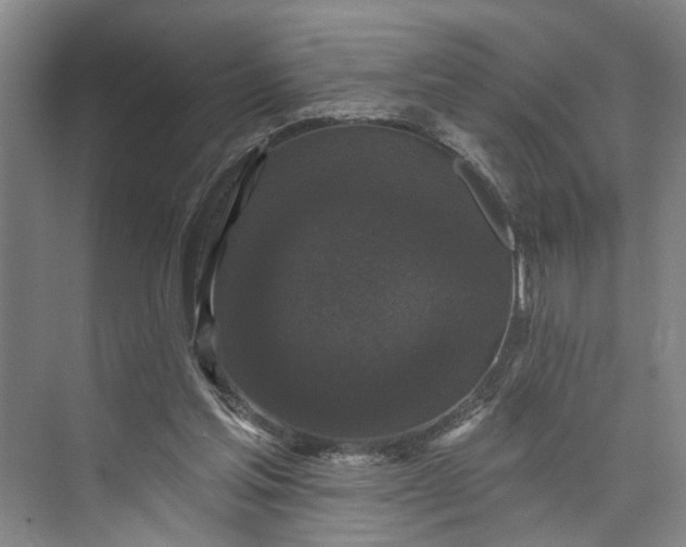X0000072920205200608041159