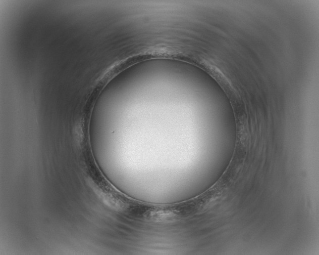 X0000072920208200608041158
