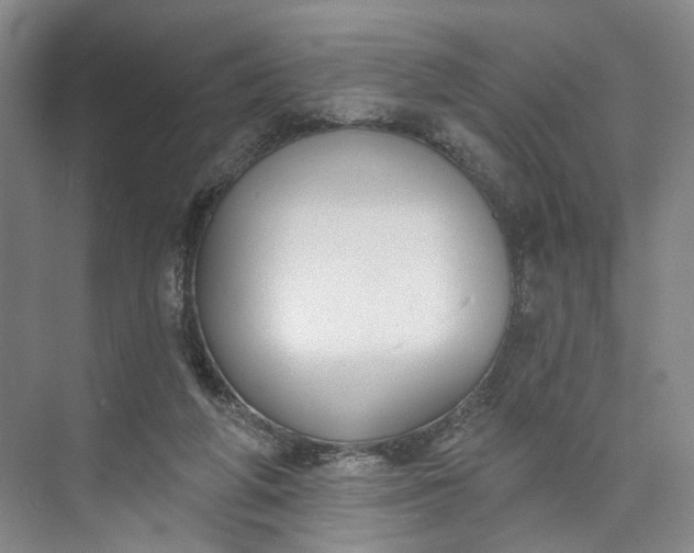X0000072920210200608041158