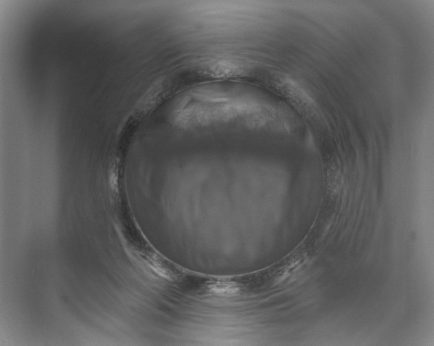 X0000072920214200608041158